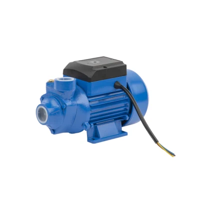 Qb Series Peripheral Pump, Vortex Pump, Garden Pump, Surface Pump